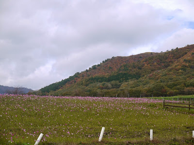 紅葉の蒜山