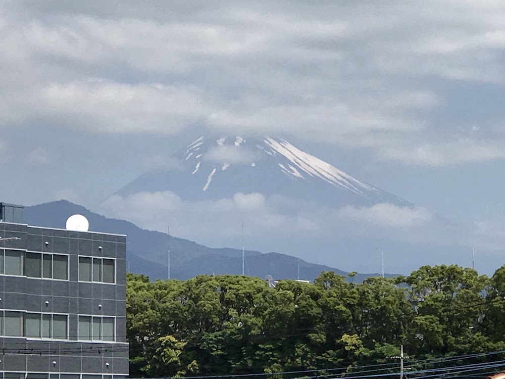 人生初沼津へ